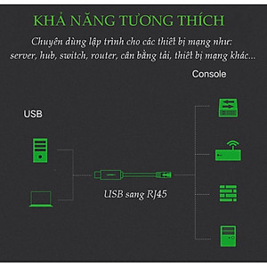 Cáp lập trình Console USB sang RJ45 FTDI dài 3M cho server, switch, hub Cisco Ugreen 60813  hàng chính hãng