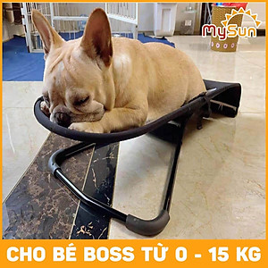 Ghế giường nằm ngồi bập bênh cho chó cún mèo thú cưng ngủ giá rẻ cỡ lớn MySun