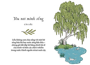 Sống Như Những Cái Cây - Những Bài Học Nhỏ Để Có Nguồn Hạnh Phúc Bất Tận (Tái Bản 2021)