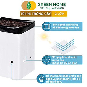 Túi Trồng Cây GreenHome, PE 2 Lớp, Chống UV, Tiện Lợi, Kinh Tế, Độ Bền 1,5 Năm, Trồng Rau, Hoa, Dâu Tây