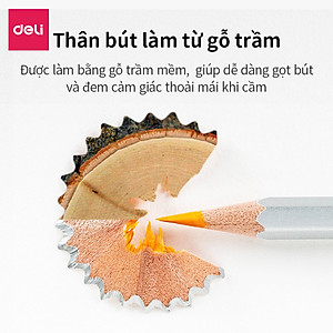 Bút chì màu nước cao cấp Deli - Có kèm cọ tán - Bộ 24/36/48 màu - 6521/6522/6523