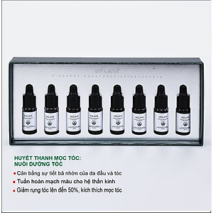 Huyết thanh mọc tóc Weilaiya - Serum kích mọc và làm dày tóc ( tặng kèm cặp minisize dầu gội )