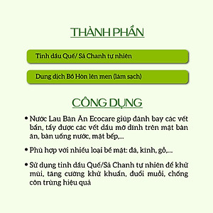 (TẶNG KÈM VỎ XỊT) Bình Xịt Vệ Sinh Đa Năng ECOCARE 4L Khử Mùi, Diệt Nấm Mốc, Diệt Khuẩn Hiệu Quả Nhà Bếp, Nhà Vệ Sinh Và Nhà Tắm