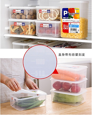 Hộp nhựa cao cấp bảo quản thực phẩm hình chữ nhật 830ml - Hàng nội địa Nhật