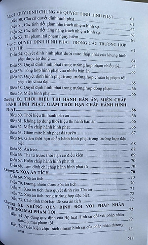 Bộ Luật Hình sự  - Bộ Luật Tố Tụng Hình Sự ( Sửa đổi, bổ sung năm 2025 )