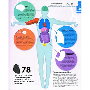 Sách How The Body Works - Hiểu Hết Về Cơ Thể