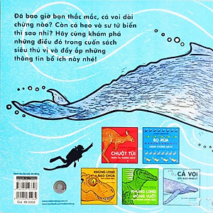 Sách Cá Voi Dài Bao Nhiêu?