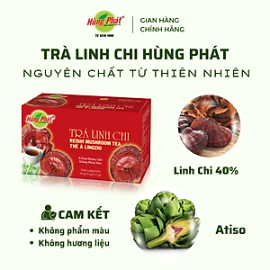 Trà Linh Chi Thanh Mát Hộp 25 gói - Reishi Mushroom Tea - Thương hiệu Hùng Phát