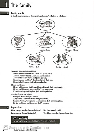 English Vocabulary in Use: Elementary Book with Answers Reprint Edition: Vocabulary Reference and Practice (CD-ROM)