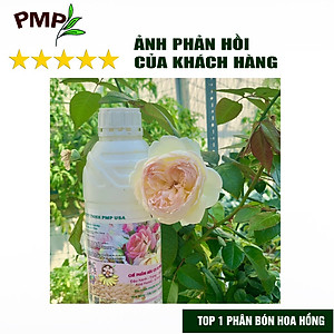 Phân Bón Hoa Hồng SOYMIC PMP Siêu Phân Bón Ủ Vi Sinh Từ Đậu Nành, Trứng, Chuối, Humic, Vi Lượng 1000ml