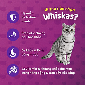 Thức Ăn Cho Mèo Whiskas Adult 1+ YearsVị Cá Thu 1.2kg/Túi