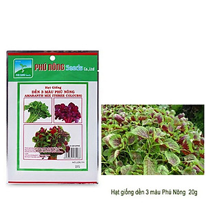 Hạt Giống Dền 3 Màu Phú Nông-Trồng được quanh năm,cây phát triển và kháng bệnh tốt cho năng suất cao-Thu hoạch 25-30 ngày-Gói 20gr