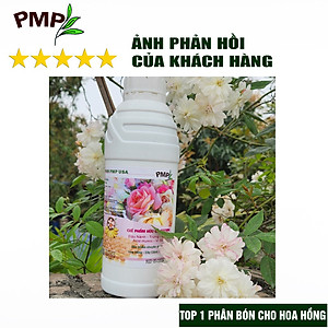 Phân Bón Hoa Hồng SOYMIC PMP Siêu Phân Bón Ủ Vi Sinh Từ Đậu Nành, Trứng, Chuối, Humic, Vi Lượng 1000ml