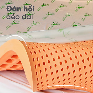 Nệm Cao Su Thiên Nhiên Đồng Phú Friendly-Bảo hành 10 năm - Êm ái- Đàn hồi.