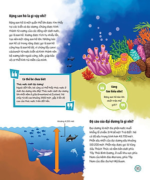 Sách What? Bố Mẹ Ơi Đây Là Cái Gì…? Những Câu Hỏi What Giúp Con Tò Mò Sáng Tạo?