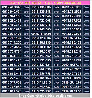 Sim Vinaphone đầu số 091, sim Phong Thuỷ, sim dễ nhớ - Hàng chính hãng