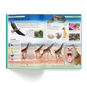Sách Bách khoa cho trẻ em - Bách khoa khoa học