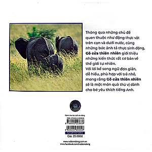 Sách Gõ Cửa Thiên Nhiên: Bạn Đang Làm Gì Thế? Chăm Chỉ - What Are You Doing?