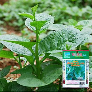 Hạt Giống Rau Mồng Tơi Phú Nông Gói 20 Gram