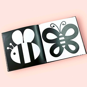 Combo Trò Chơi Kích Thích Thị Giác