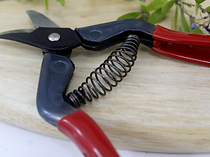 Kéo tỉa cành cao cấp Nhật Bản Chikamasa S-2C chiều dài lưỡi 23mm -  lưỡi thép carbon chất lượng cao siêu bén - Cắt ngọt, không bám dính, liền sẹo nhanh