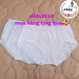 hộp 5 quần lót nữ cotton cao cấp quanchip nữ xuất nhật kháng khuẩn NU01