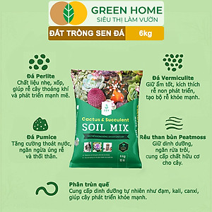 Đất Trồng Sen Đá Greenhome, Soil Mix, Bao 6kg, Trộn Sẵn, 85% Đá Khoáng, Phát Rễ Nhanh, Lên Màu Nhanh, Thoát Nước Tốt