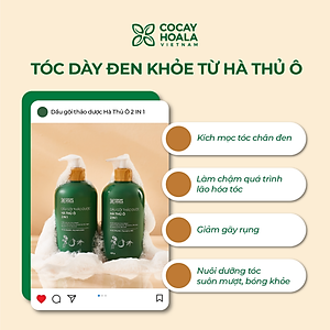 Dầu Gội Xả 2in1 Hà Thủ Ô Cỏ Cây Hoa Lá VIETNAM - Dưỡng Tóc Đen Mượt, Bóng Khỏe, Dung tích 420g/chai