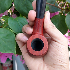 Tẩu gỗ Bạch Đàn sành điệu dành cho Nam - T0152