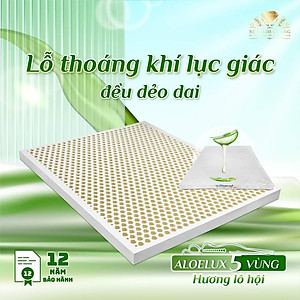 Nệm Cao Su Kim Cương 5 ZONE ALOE