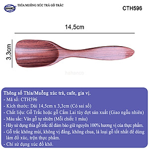 Muỗng Thìa Xúc Trà Gỗ Trắc Cao Cấp Dụng Cụ Trang Trí - CTH596