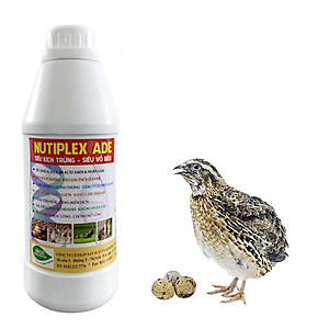Siêu Kích Trứng cho gà, vịt, cút đẻ NUTIPLEX ADE. Kéo dài chu kỳ đẻ. Trứng đẹp, vỏ dầy, tăng phôi, tăng tỷ lệ ấp nở