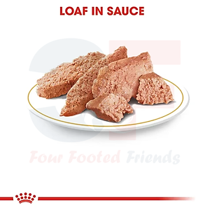 Pate Thức Ăn Ướt Xay Nhuyễn Dành Cho Chó Poodle Trưởng Thành Royal Canin Poodle Wet