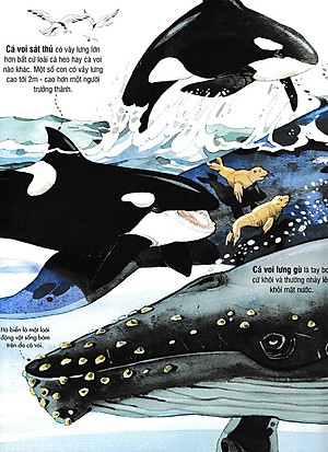 Sách Tương Tác - Big Book - Cuốn Sách Khổng Lồ Về Các Loài Động Vật Biển (Tái Bản 2018)