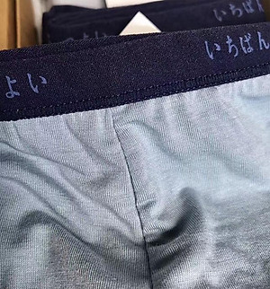 Bộ 5 Quần Lót Nam Đùi Xuất Nhật Chất Mát (Màu Ngẫu Nghiên)