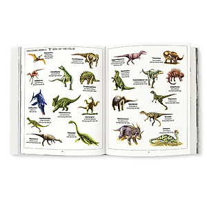 Sách 1000 Từ Tiếng Anh Đầu Tiên - My First 1000 Words - Tái Bản