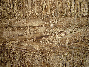 NƯỚC SỐT PONZU NHẬT BẢN CAO CẤP YAMAROKU 500ML/ JAPANESE YAMAROKU PONZU PREMIUM SAUCE 500ML