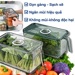 Hộp Đựng Thực Phẩm 3L Có Nắp Tách Nước Và Tay Cầm Tiện Lợi – Hộp Bảo Quản Đồ Ăn Tủ Lạnh - Hộp Lạnh - HÀNG CHÍNH HÃNG MINIIN