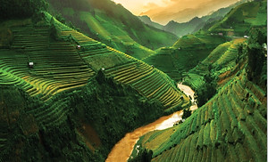 Mật ong rừng thượng hạng núi cao - 100% mật ong chín Mẹ Tiên Honimore 110g