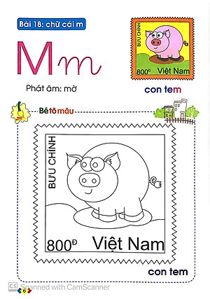 Sách Tập Tô Và Làm Quen Với Chữ Cái (Tập 2)