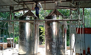 Tinh dầu Bưởi da xanh 100ml Mộc Mây  - tinh dầu nguyên chất 100% từ thiên nhiên
