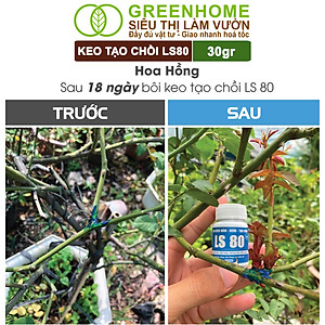 Keo Tạo Chồi LS80, Greenhome, Hũ 30gr, Tạo Mầm Tại Vị Trí Bất Kỳ, Có Chọn Lọc, Không Suy Cây, Đen Chồi