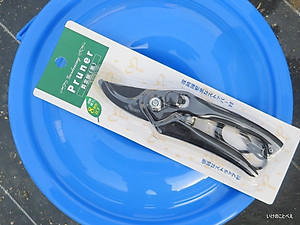 Kéo Cắt Cành Cây Echo Metal VN146809