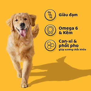 [Bộ 2] Thức Ăn Hạt Cho Chó Trưởng Thành Pedigree Adult 1+ Years Vị Gà, Rau Củ + Bỏ, Rau Củ 1.5kg/Túi