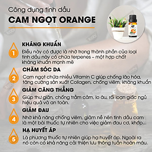 Combo Tinh Dầu Oải Hương Kobi (10ml) + Tinh Dầu Cam Ngọt Kobi (10ml) - Tinh Dầu Thiên Nhiên Nguyên Chất, Tinh Dầu Xông Phòng, Dùng Với Máy Xông Tinh Dầu Giúp Khử Mùi, Thơm Phòng Hiệu Quả