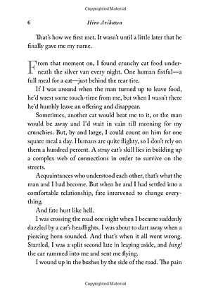 Sách The Travelling Cat Chronicles