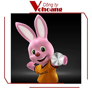Combo 6 Viên Pin đồng xu Duracell Lithium 2025 (2 viên/ vỉ x 3 vỉ) - O000018