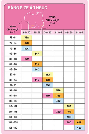 Áo ngực có gọng iBasic mút vừa T-Shirt smothie BRAW130