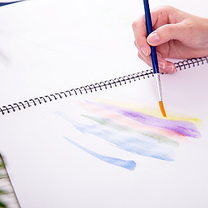 Bộ Cọ Vẽ Chuyên Nghiệp Deli - Dùng Cho Màu Nước/Bột/Sơn Acrylic -Set 4/6 Cây- 73885/73866/73867