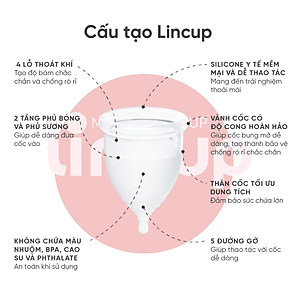 Bộ sản phẩm cốc nguyệt san Lincup+ (40ml)